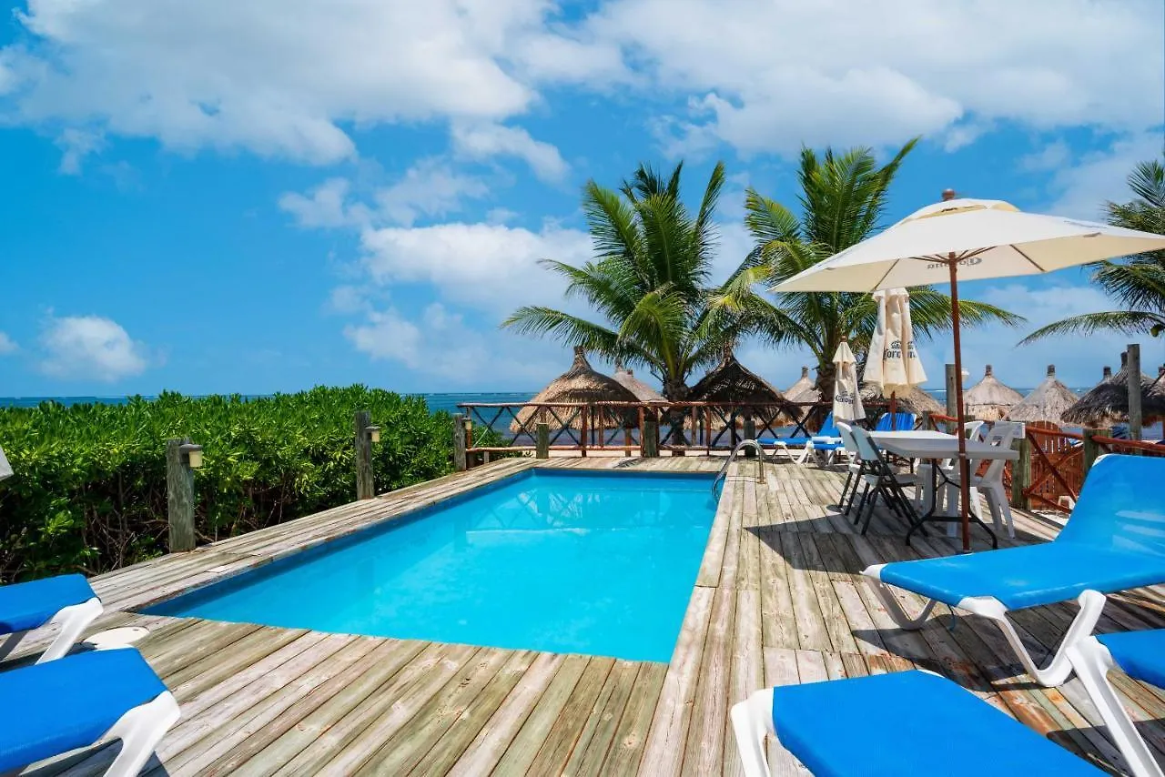 The Diving Lodge Downtown Puerto Morelos 0*,