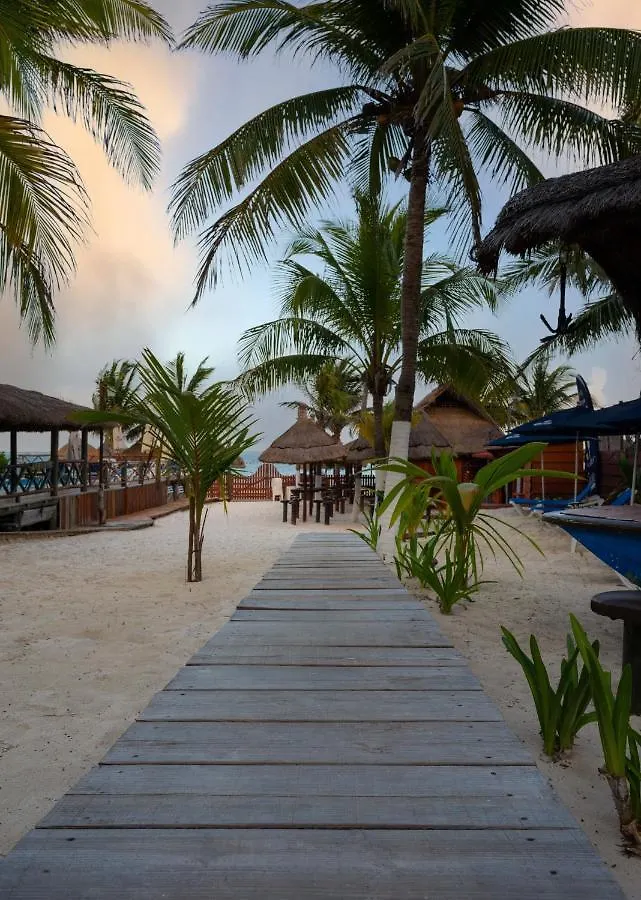 The Diving Lodge Downtown Puerto Morelos 0*,  Mexico