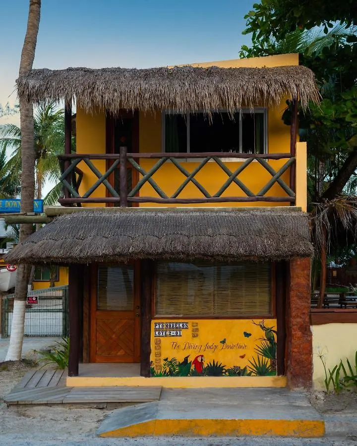 The Diving Lodge Downtown Puerto Morelos 0*,