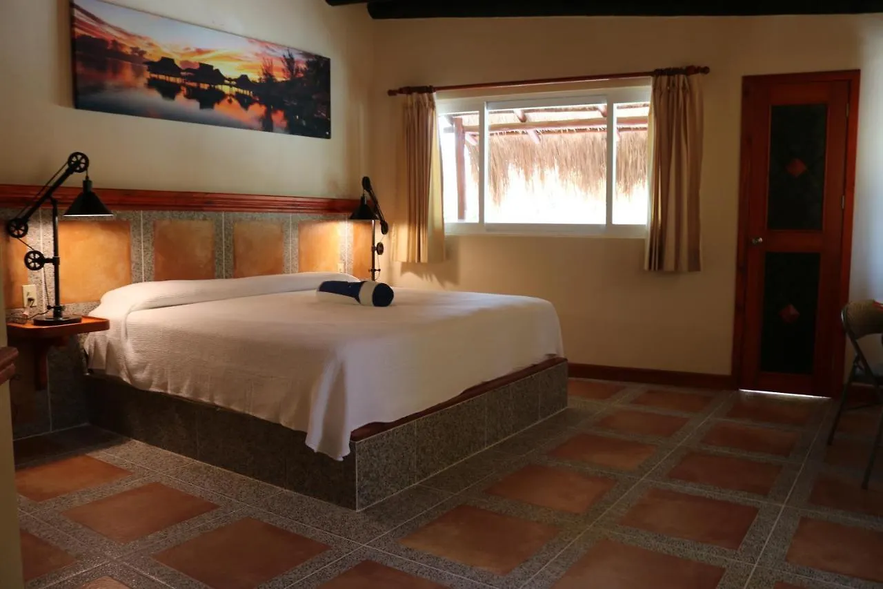 Feriehus The Diving Lodge Downtown Puerto Morelos Mexico