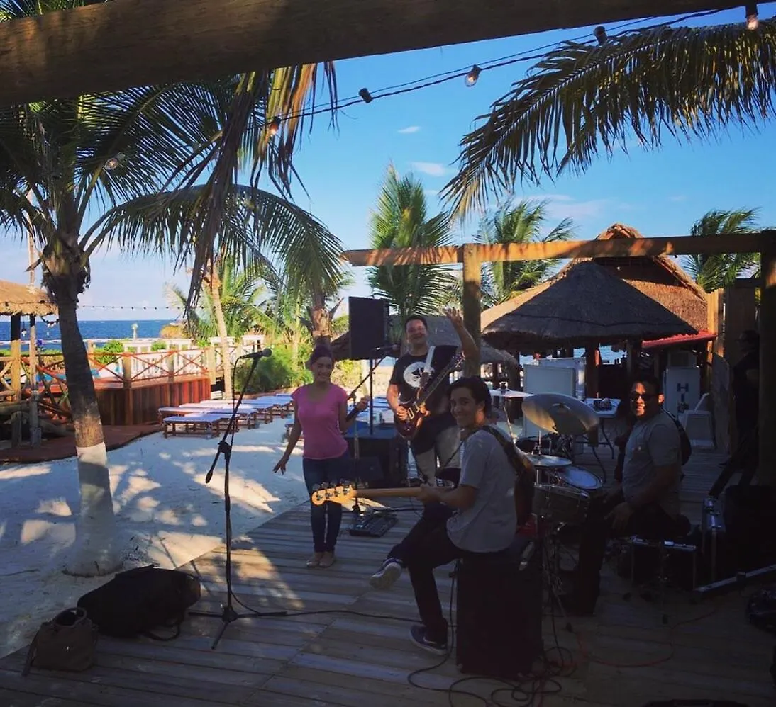 The Diving Lodge Downtown Puerto Morelos Mexico
