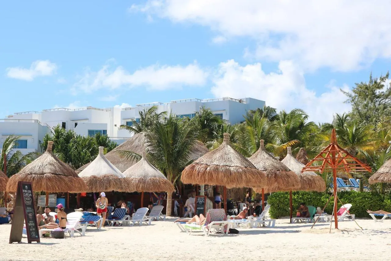 The Diving Lodge Downtown Puerto Morelos Mexico