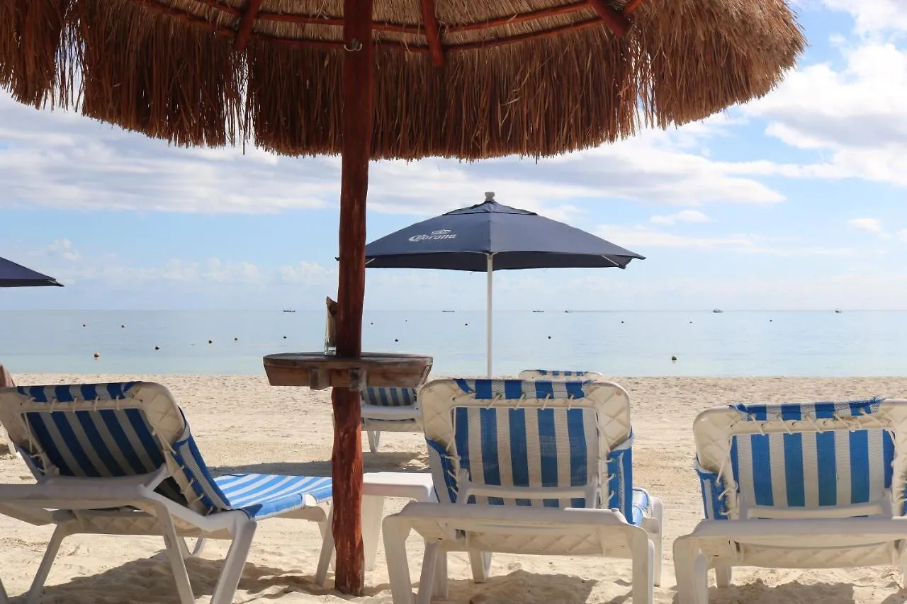 The Diving Lodge Downtown Puerto Morelos