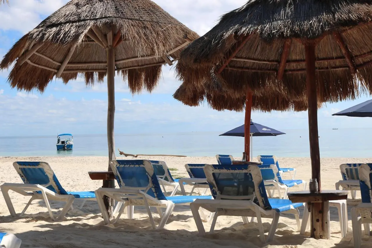 Holiday home The Diving Lodge Downtown Puerto Morelos