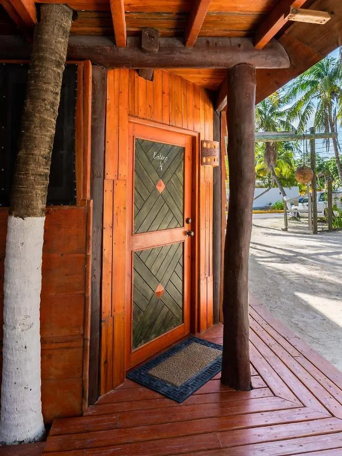 The Diving Lodge Downtown Puerto Morelos Mexico