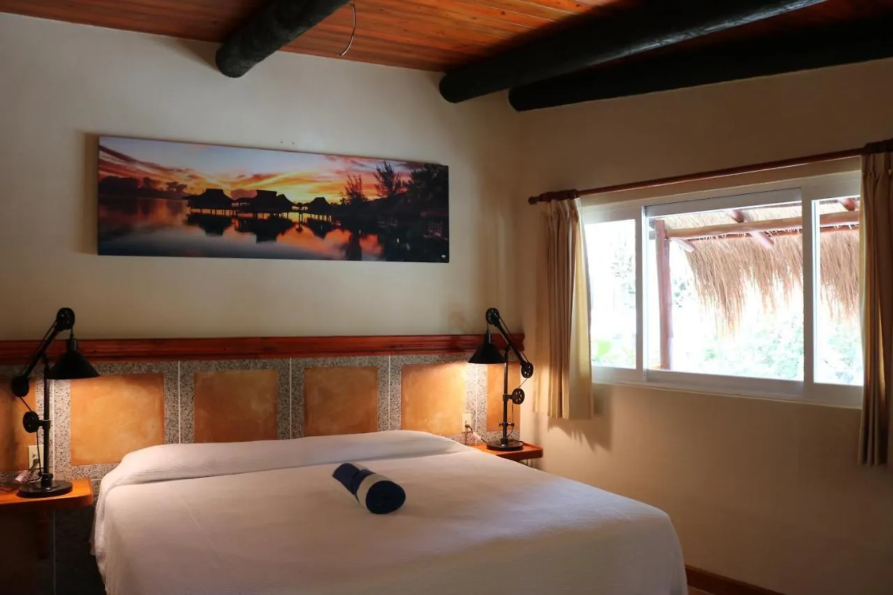 The Diving Lodge Downtown Puerto Morelos