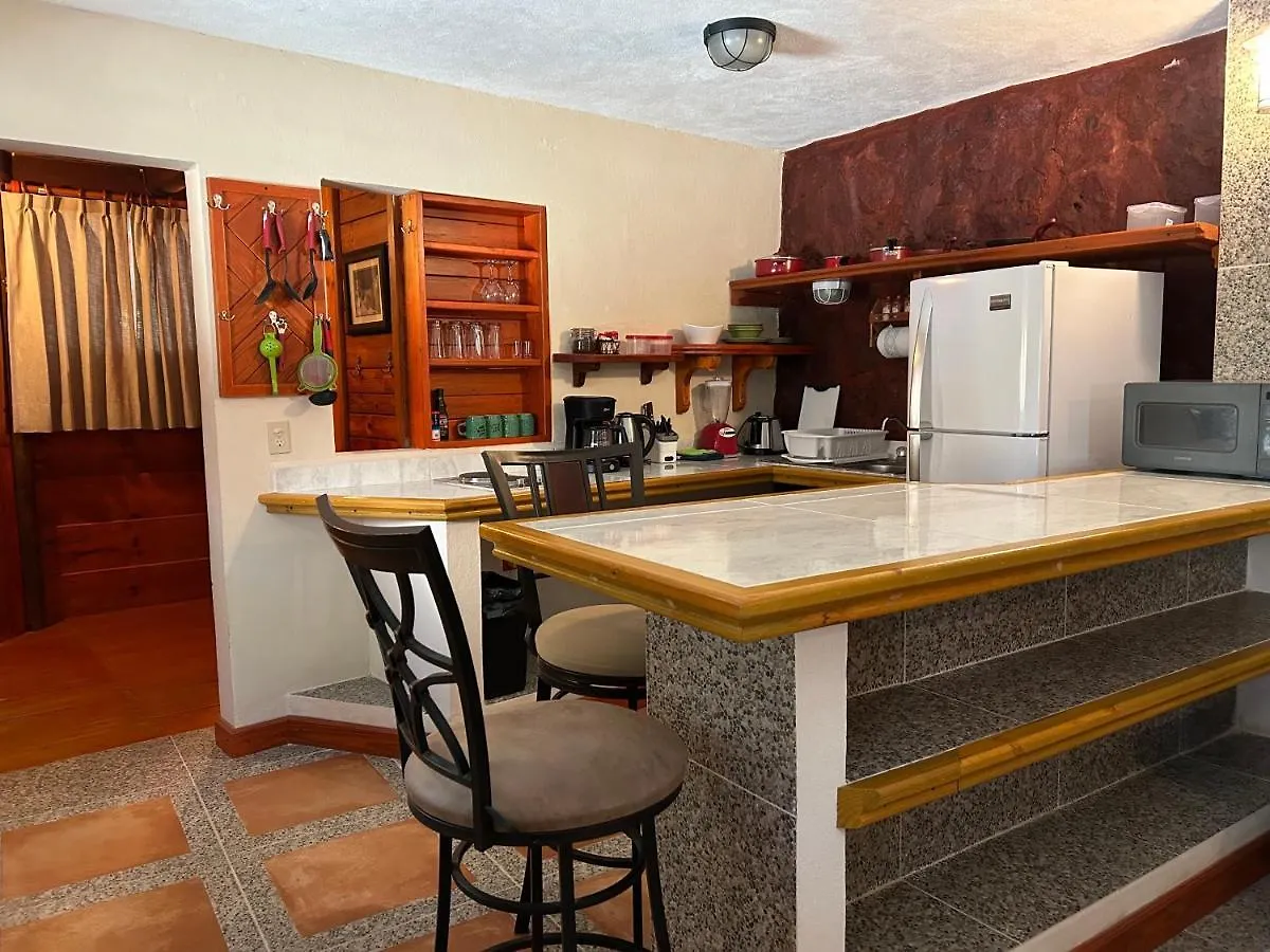 The Diving Lodge Downtown Puerto Morelos Holiday home