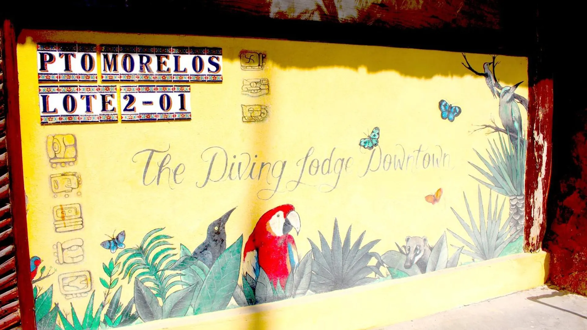 The Diving Lodge Downtown Puerto Morelos Holiday home